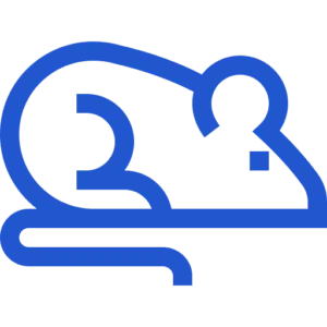 Ícone Desratização RJ