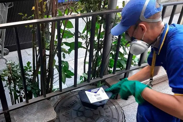 Trabalho realizado - Imagem 5